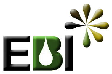 EBI Investigação e Desenvolvimento